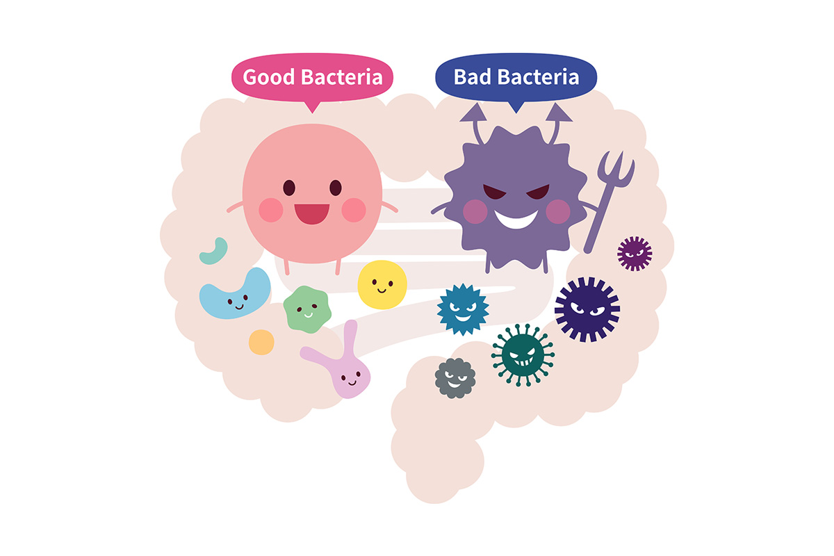  5 Bakteri Baik yang Menguntungkan Pencernaan