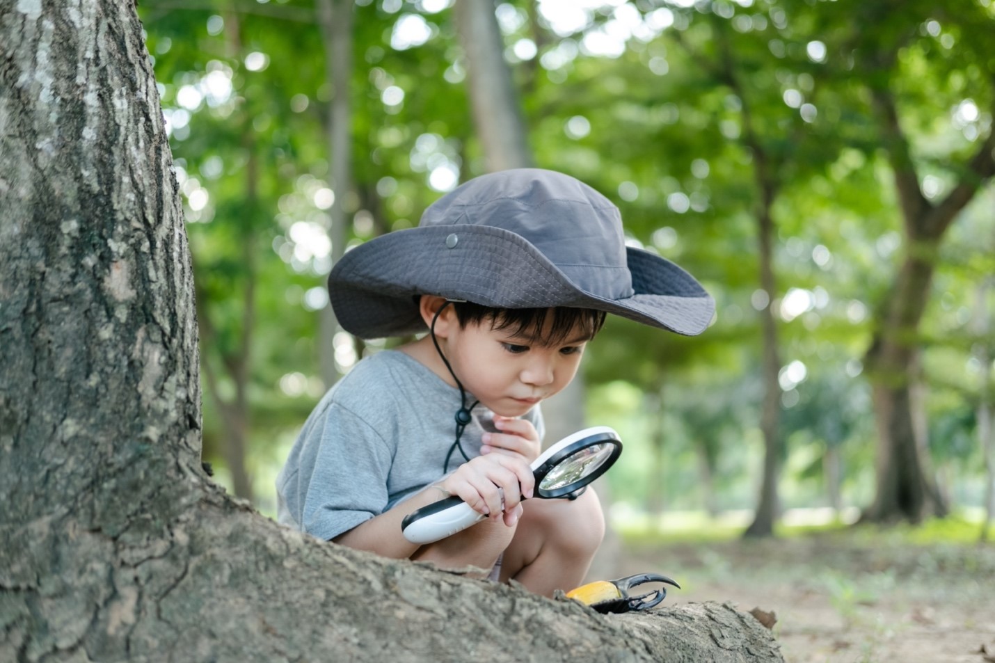 Dukung Tumbuh Kembang Si Kecil, Yuk Asah Rasa Ingin Tahu Anak Usia Dini dengan Cara Ini, Moms!