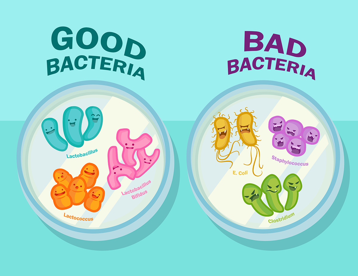 4 Masalah Kesehatan Karena Kekurangan Bakteri baik